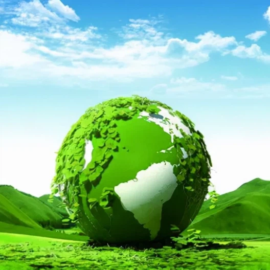 product-800-800 product-800-800